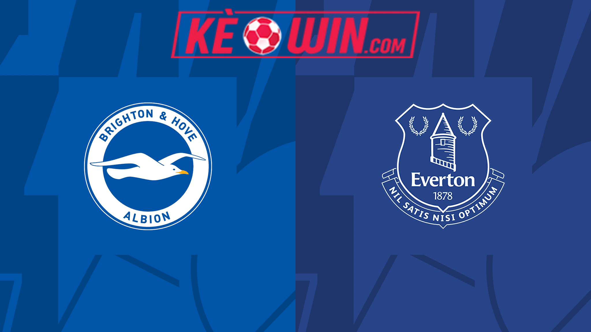 Brighton & Hove Albion vs Everton – Soi kèo bóng 22h00 24/02/2024 – Ngoại hạng Anh
