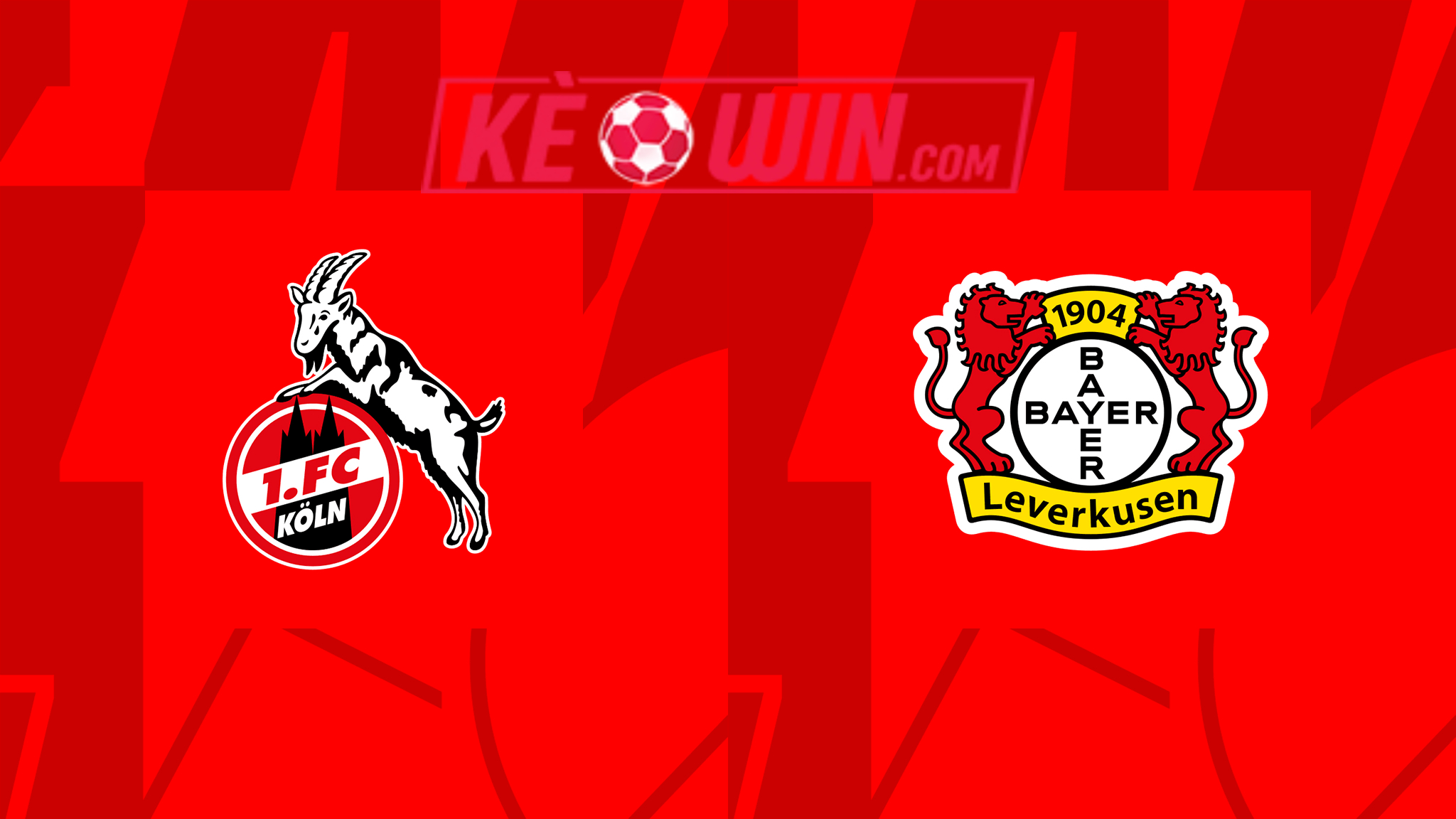 Köln vs Bayer 04 Leverkusen – Soi kèo bóng 21h30 03/03/2024 – VĐQG Đức