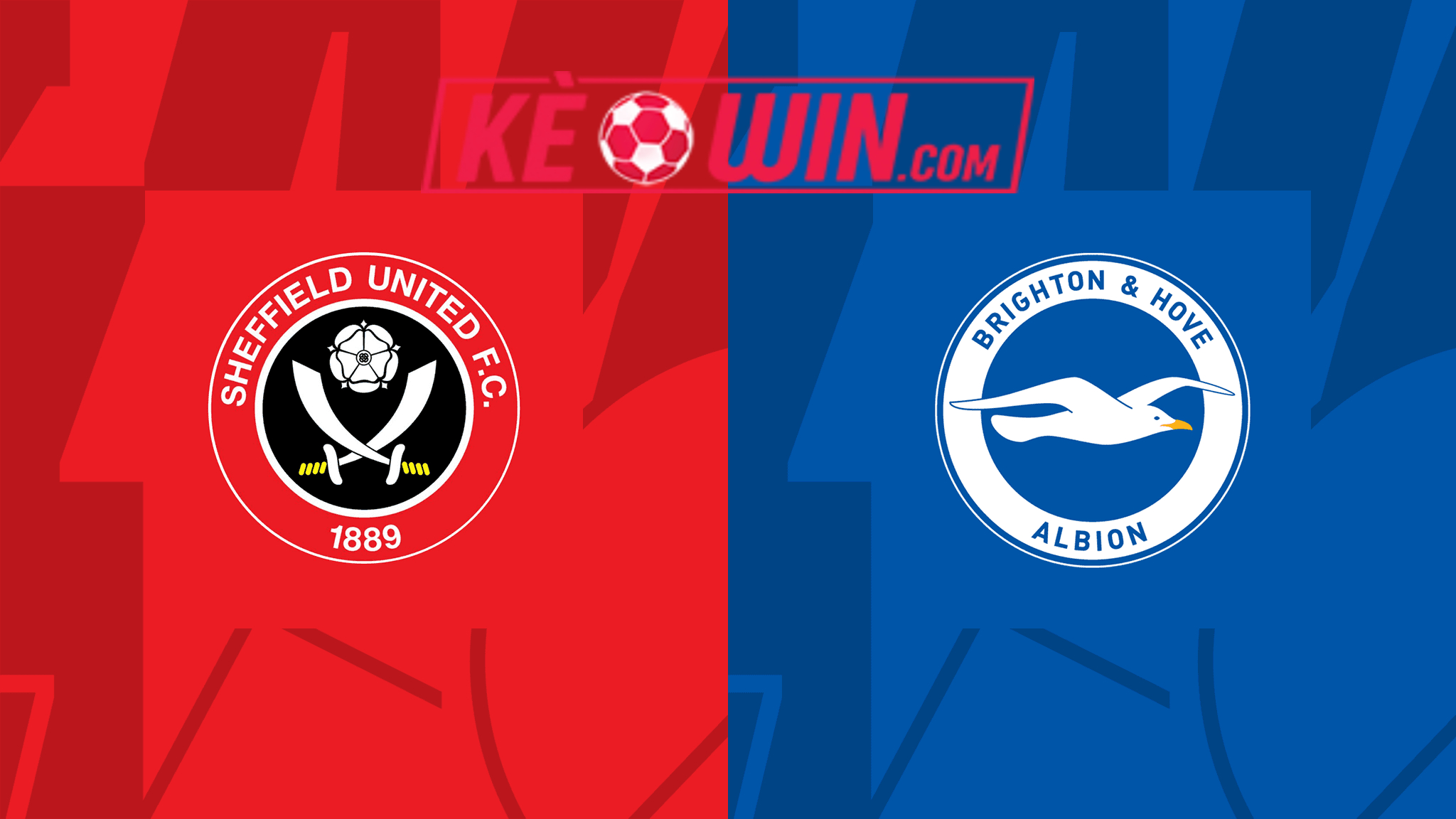 Sheffield United vs Brighton & Hove Albion – Soi kèo bóng 21h00 18/02/2024 – Ngoại hạng Anh