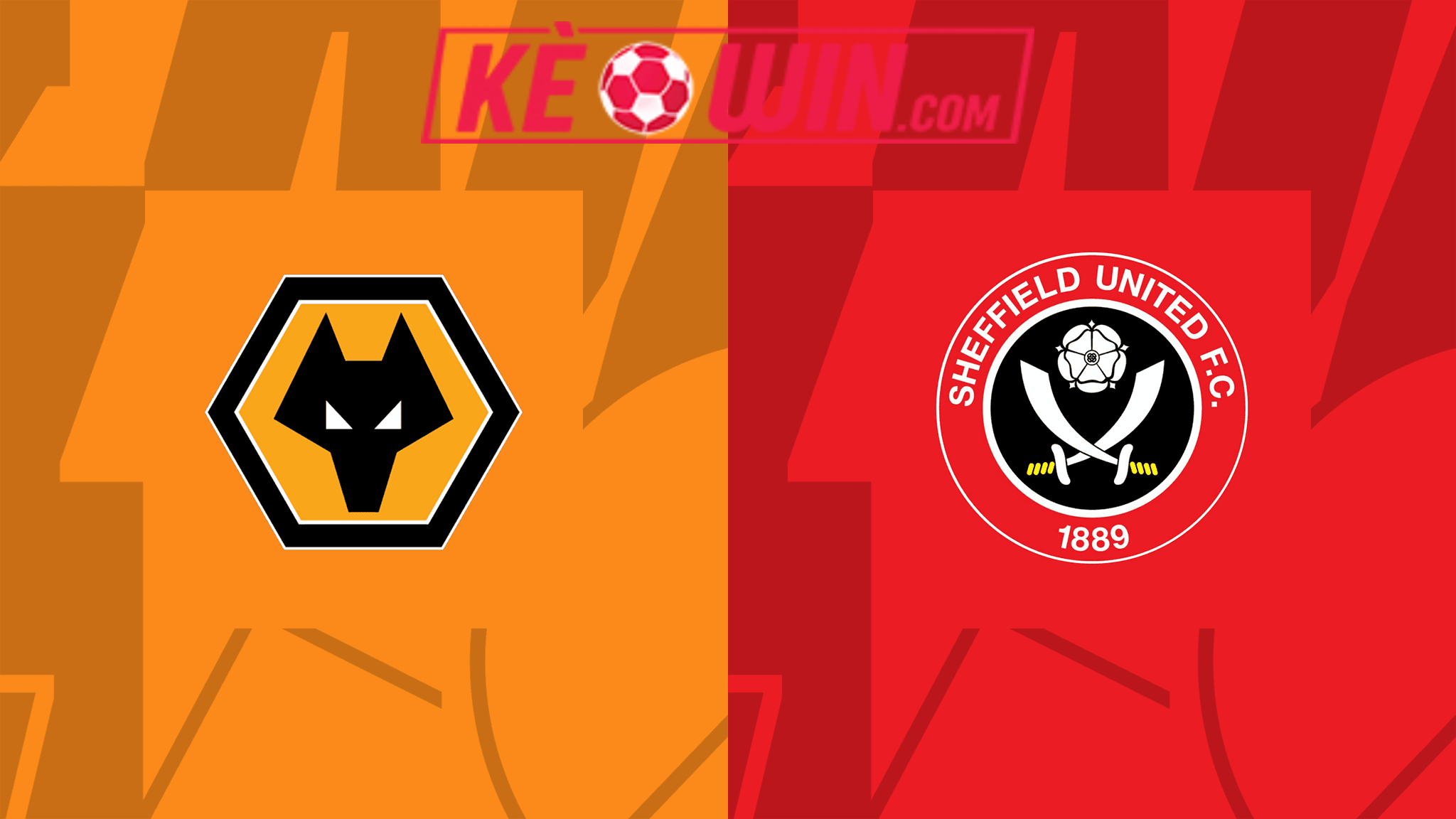 Wolverhampton vs Sheffield United – Soi kèo bóng 20h30 25/02/2024 – Ngoại hạng Anh