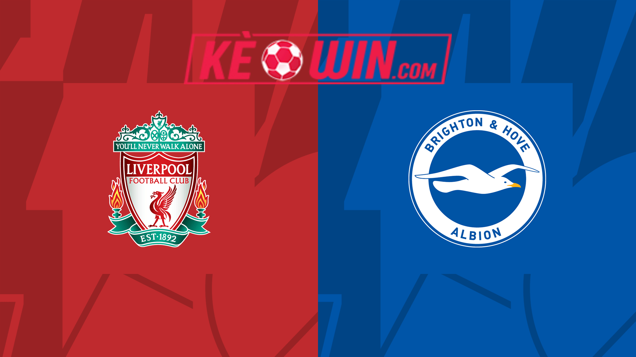 Liverpool vs Brighton & Hove Albion – Soi kèo bóng 20h00 31/03/2024 – Ngoại hạng Anh