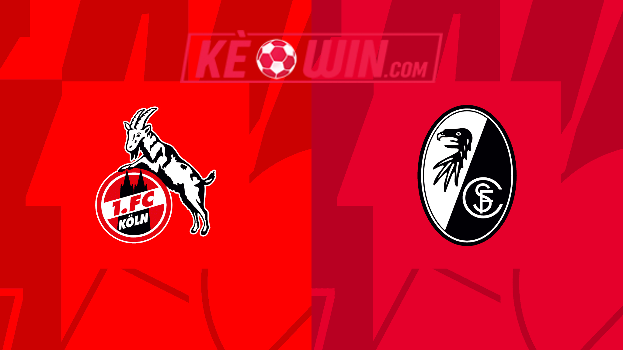 Köln vs SC Freiburg – Kèo bóng đá 23h30 04/05/2024 – VĐQG Đức