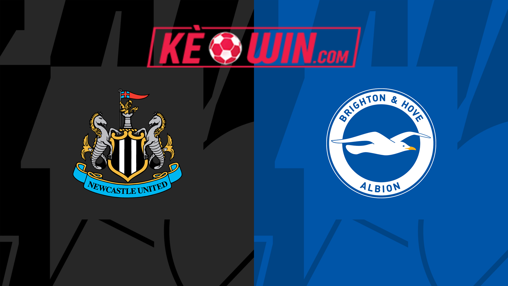 Newcastle United vs Brighton & Hove Albion – Kèo bóng đá 21h00 11/05/2024 – Ngoại hạng Anh