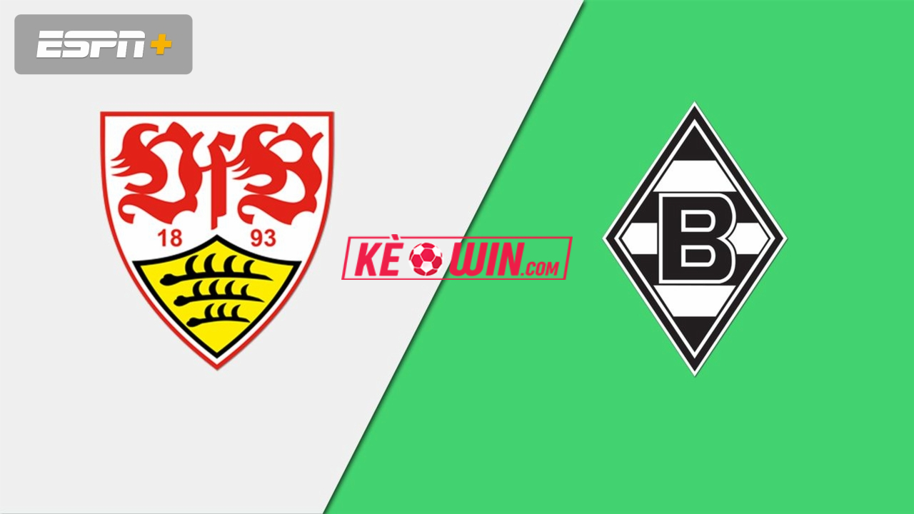 VfB Stuttgart vs Borussia Mönchengladbach – Kèo bóng đá 20h30 18/05/2024 – VĐQG Đức