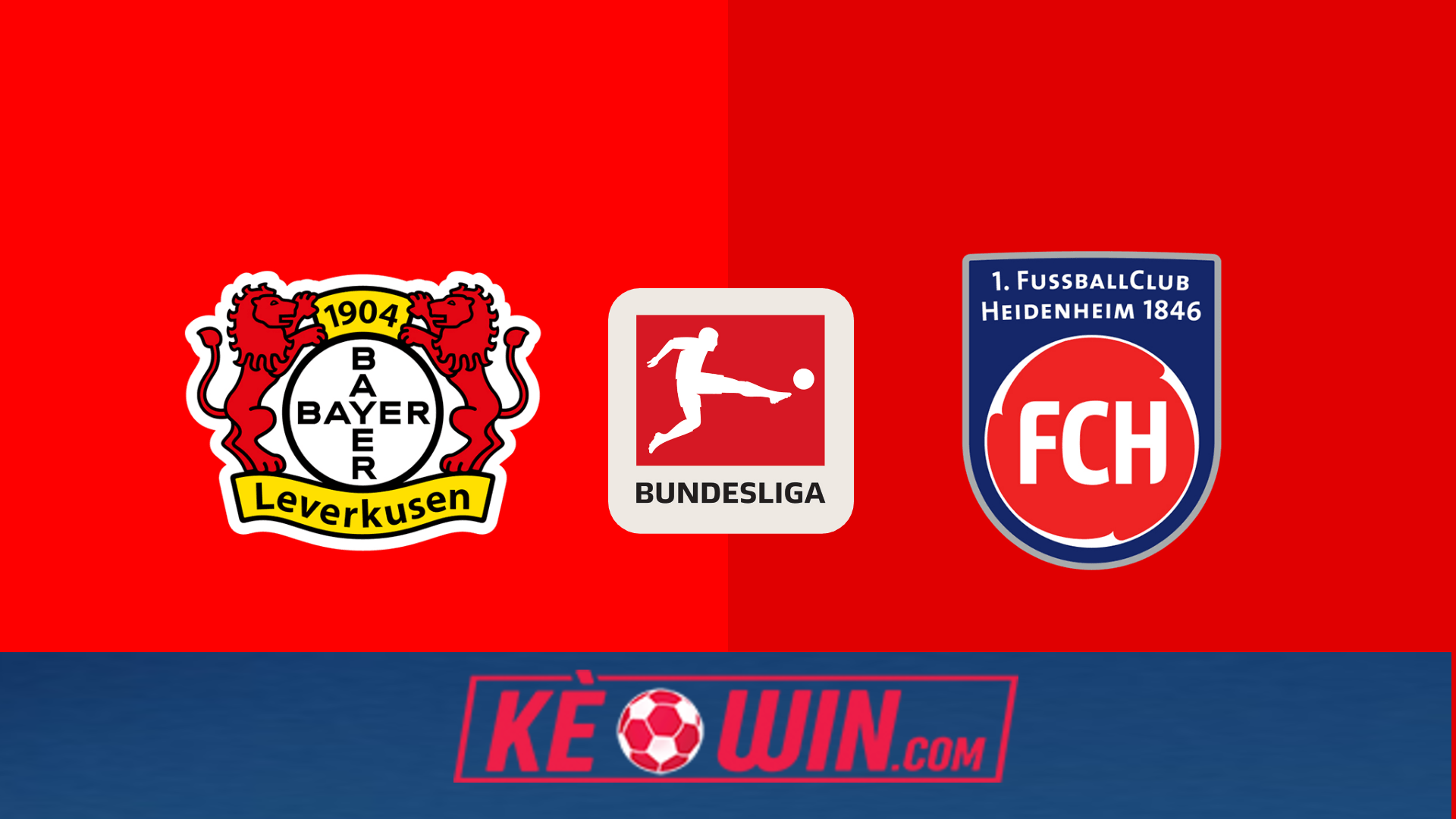 Bayer Leverkusen vs Heidenheim – Kèo bóng đá 21h30 23/11/2024 – VĐQG Đức