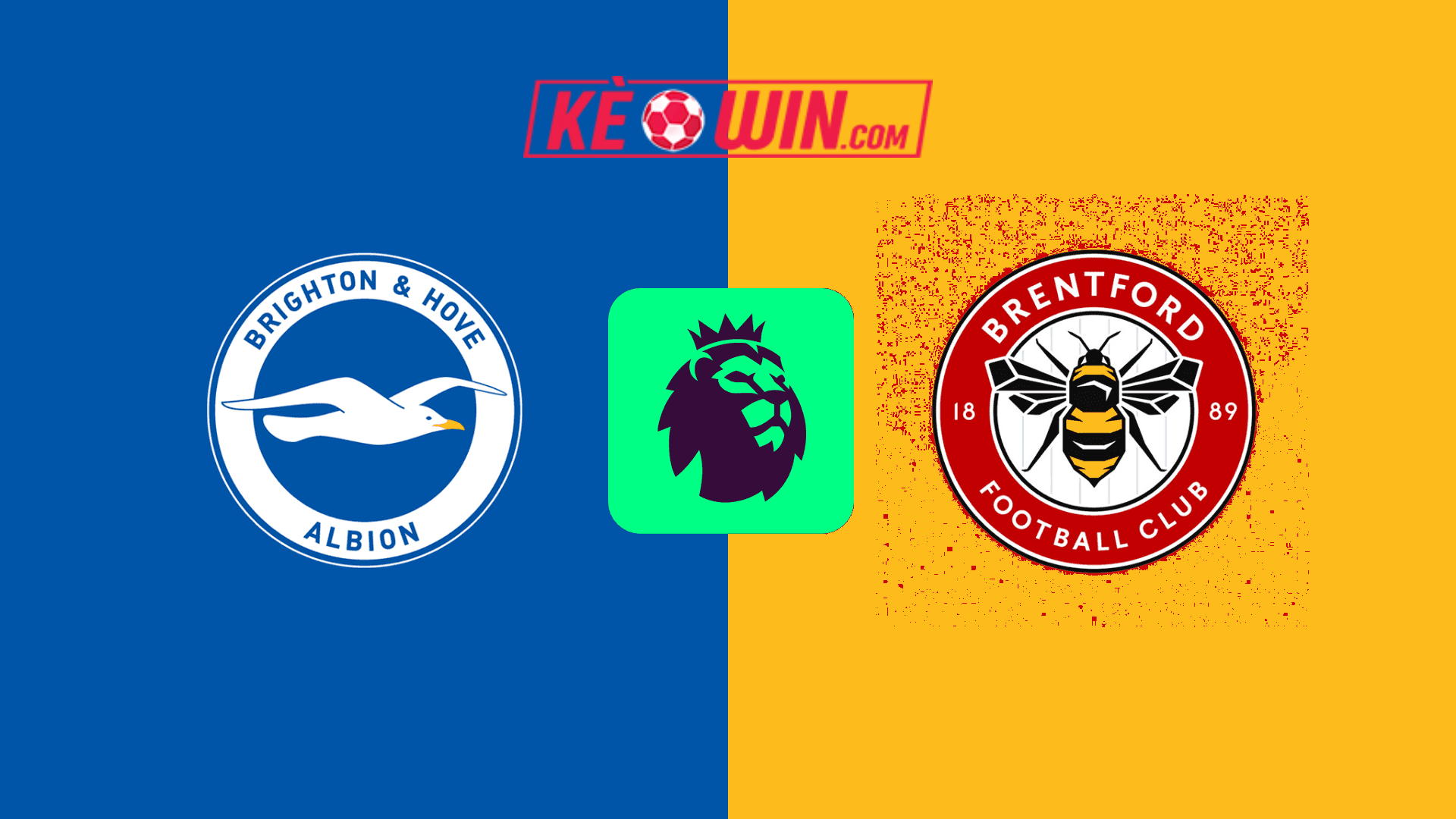 Brighton & Hove Albion vs Brentford – Kèo bóng đá 02h30 28/12/2024 – Ngoại hạng Anh