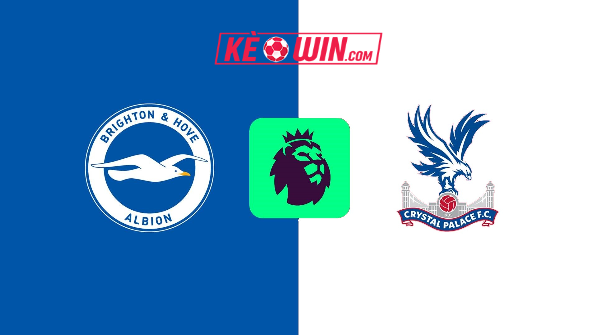 Brighton & Hove Albion vs Crystal Palace – Kèo bóng đá 21h30 15/12/2024 – Ngoại hạng Anh